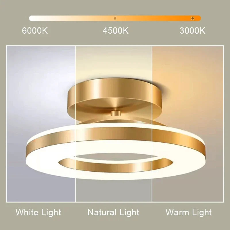 Modern LED Ceiling Light | Indoor Flush Mount Ceiling Lamp | Living Room, Bedroom, Dining Room, Hallway, Balcony & Kitchen Lighting Fixture