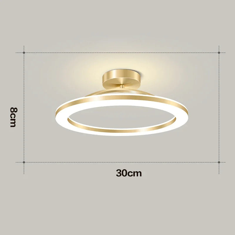Modern LED Ceiling Light | Indoor Flush Mount Ceiling Lamp | Living Room, Bedroom, Dining Room, Hallway, Balcony & Kitchen Lighting Fixture